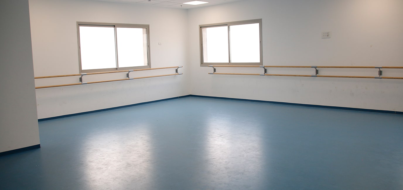 עיצוב ותכנון מבנה רב תכליתי - אולם ספורט